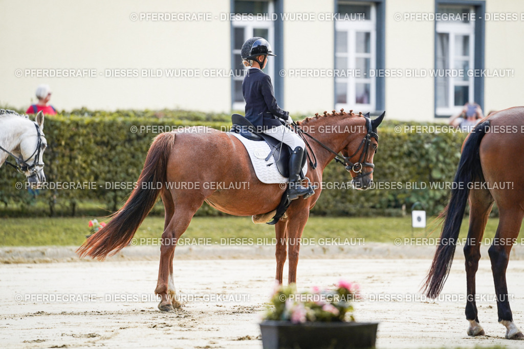 DSC05325 | Pferdegrafie