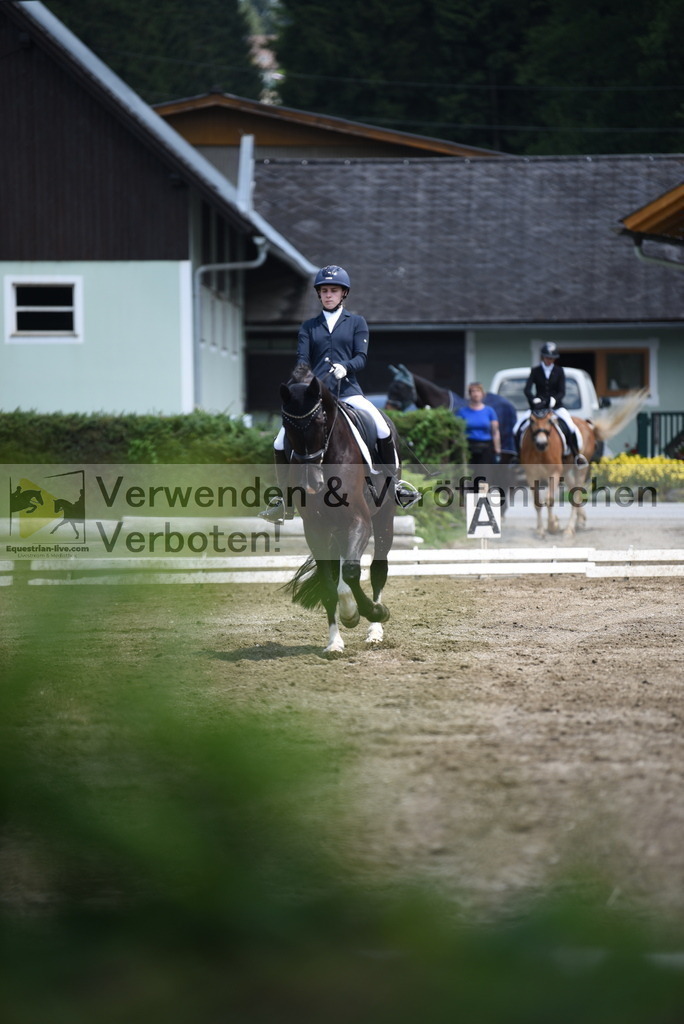 DSC_9894 | equestrian-live-com