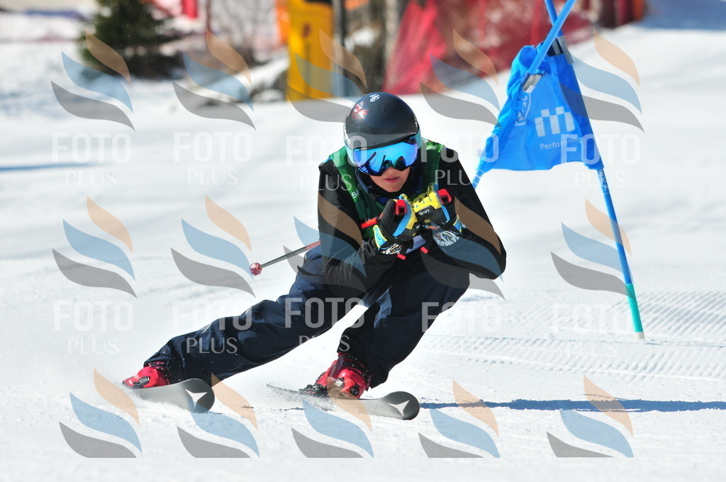 C3884 | holidayphoto