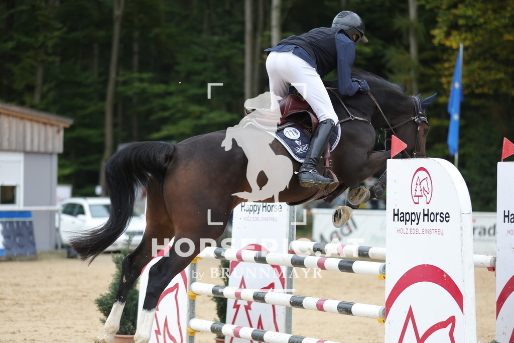 0P6A6721 | Willkommen bei Brunnmayr - Design & Fotografie – Ihrem Spezialisten für Reitturniere und Pferdeveranstaltungen in Oberösterreich, Salzburg und Bayern! Seit über 17 Jahren sind wir leidenschaftlich dabei.