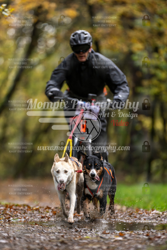 MompixPhotography_Bischwiller23_DS2-35 | mompixphotography