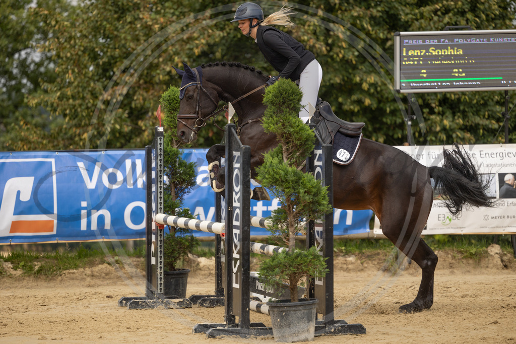 994A7865 | sabrinanicolaifotografie - Realisiert mit Pictrs.com