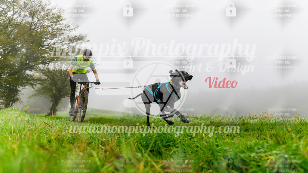 MompixPhotography_20TSB_E5_Bike-42 | PayLife
