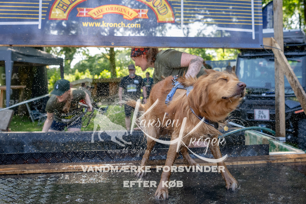 1539_ZZ92532 | kk-dogfotos