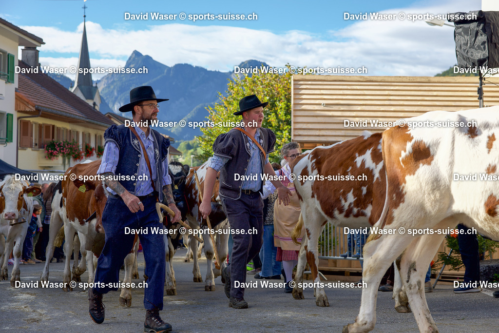 Foire et d_salpe d_Albeuve avec le troupeau de Ayer Serge et Yvan de Le Cr_t de La Tour-de-Tr_me au Bry le 04.10.25 Photos David Waser sur _ www.sports-suisse.ch _ (20) | Foire et désalpe d’Albeuve avec le troupeau de Ayer Serge et Yvan de Le Crêt de La Tour-de-Trême au Bry le 04.10.25 Photos David Waser sur " www.sports-suisse.ch "