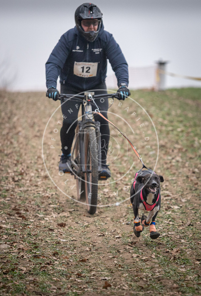 Pfotenfotografie_DV3A1317 | Hundefotografie, Tierfotograf, Pfotenfotografie, Fotoshooting Hund, Hunde Portrait, Hundesport, Hundeportraits, Heideshooting, Hunde, Sportfotograf, Hundefotograf, Turnierhundsport, THS,  - Realisiert mit Pictrs.com