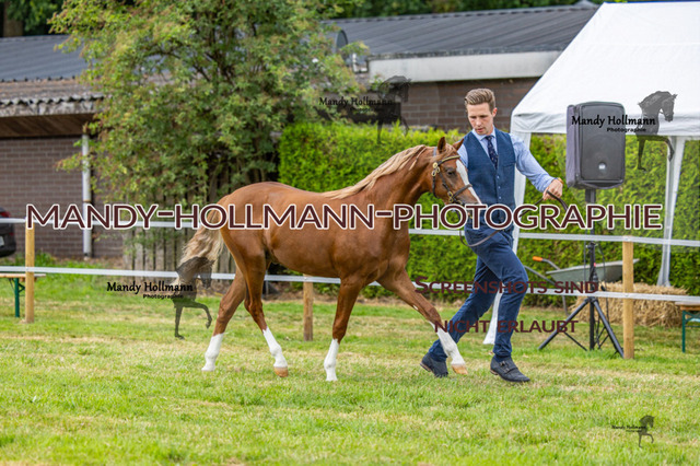 3_MG_3636 (2737) | mandyhollmannphotographie