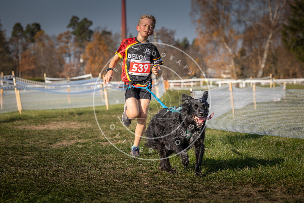 CaniXpix_0L8A8910 | Hundefotografie, Tierfotograf, Pfotenfotografie, Fotoshooting Hund, Hunde Portrait, Hundesport, Hundeportraits, Heideshooting, Hunde, Sportfotograf, Hundefotograf, Turnierhundsport, THS,  - Realisiert mit Pictrs.com