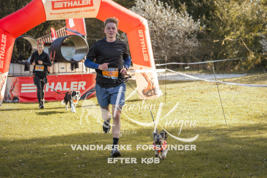 1303_ZZ98954-2 | kk-dogfotos