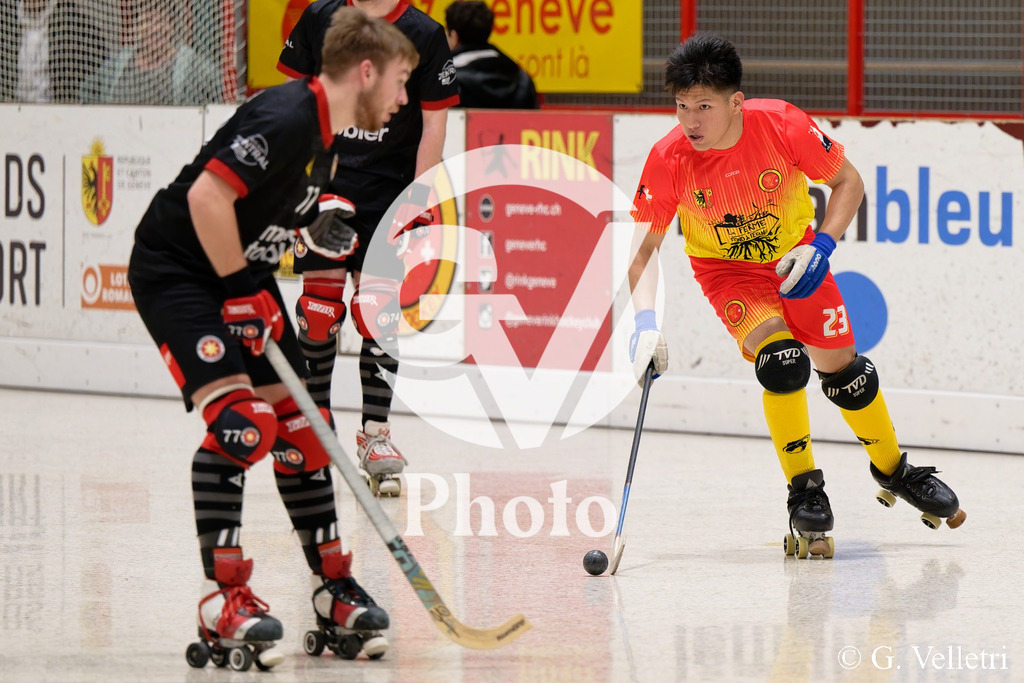 DSC_2662 | Velletri Photo