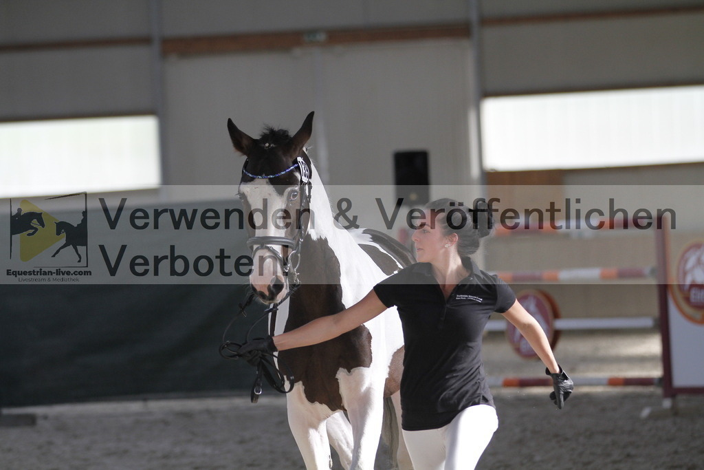 _MG_0991 | equestrian-live-com