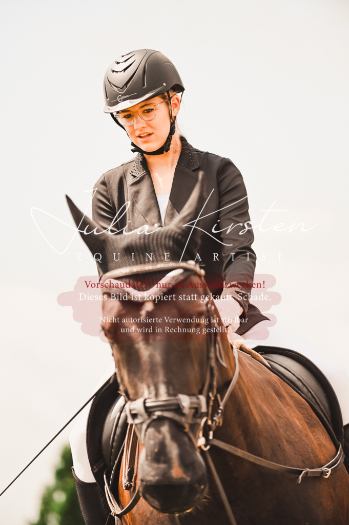 DSC_6196 | Pferde- und Turnierfotografie in Westsachsen. Pferdeportraits, Auftragszeichnungen und intuitive Kunst.
