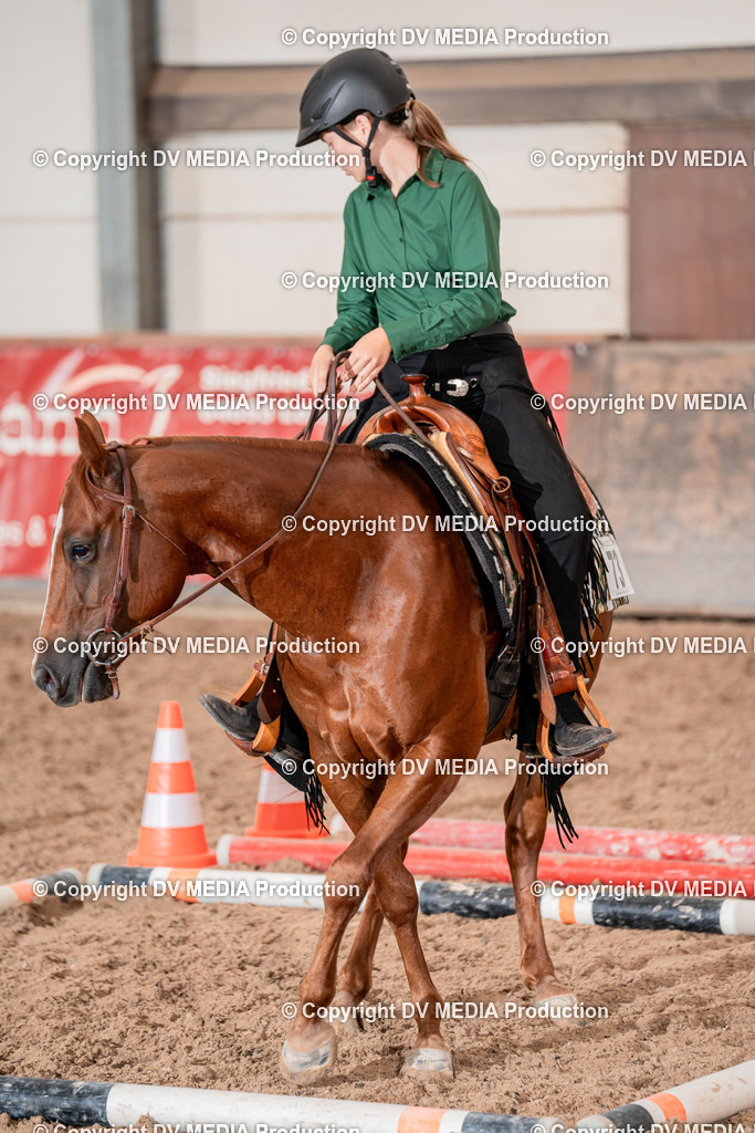 LM Heiligenwald Tag 3-2016 | dv-media-shop - Realisiert mit Pictrs.com