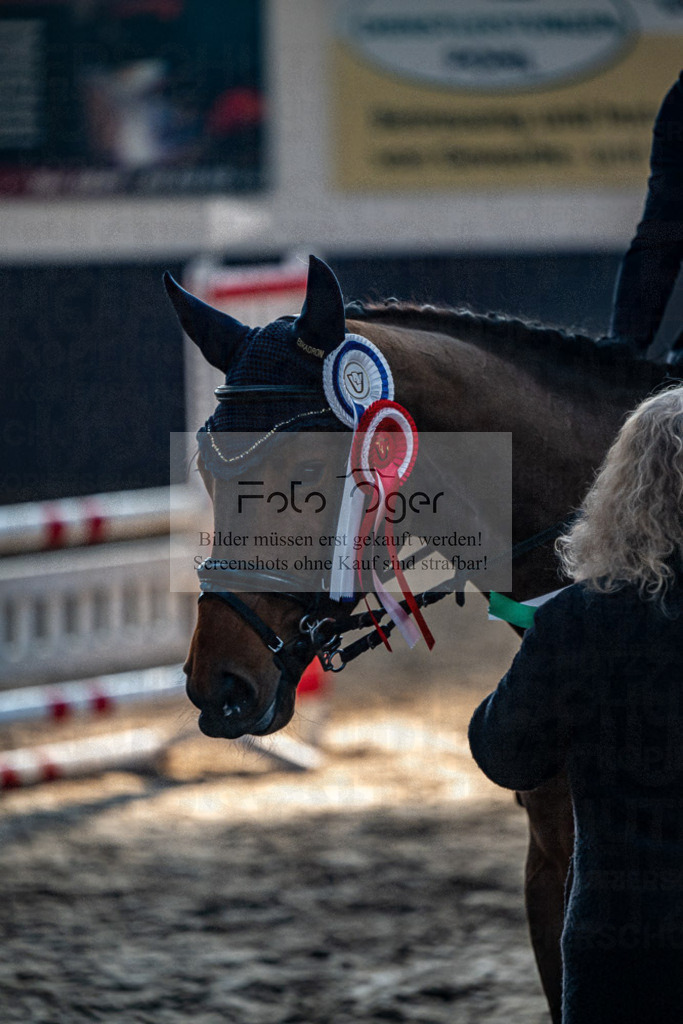 20240308-DOS_2776 | Entdecke hochwertige Reitturnierfotos von Foto Oger. Professionell, emotional und authentisch – jetzt Lieblingsmomente im Shop bestellen.Deutschlandweite Turnierfotografie. - Realisiert mit Pictrs.com