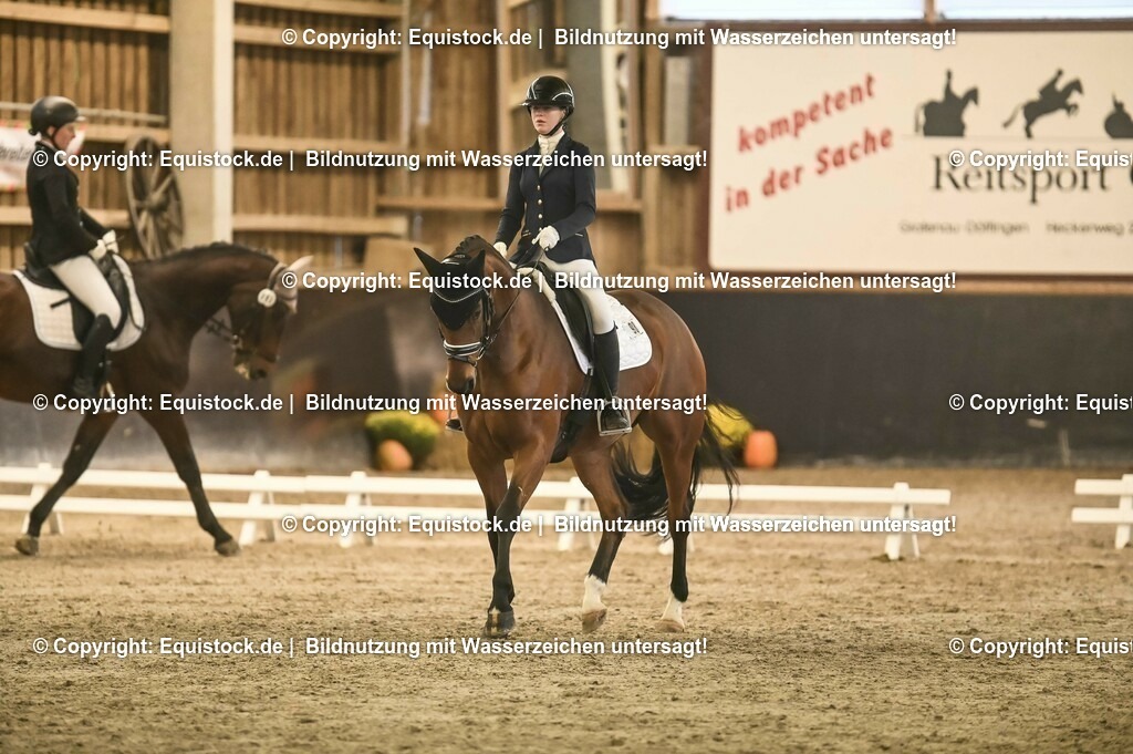 02_Dressurreiter_A_0288 | Foto: Thomas Hartig