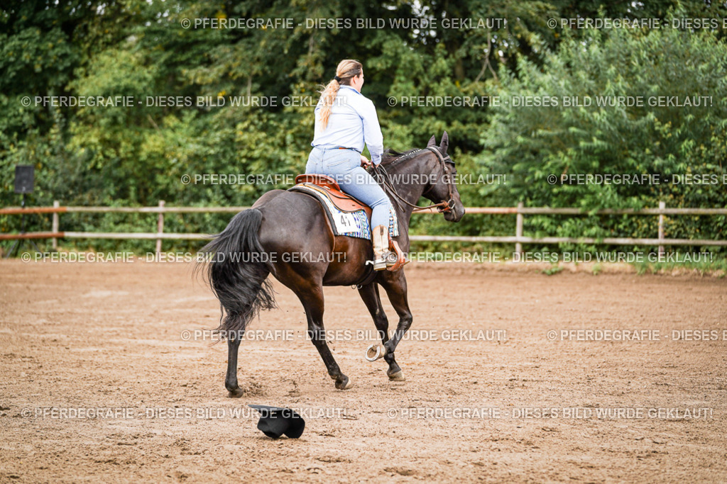 DSC06420 | Pferdegrafie