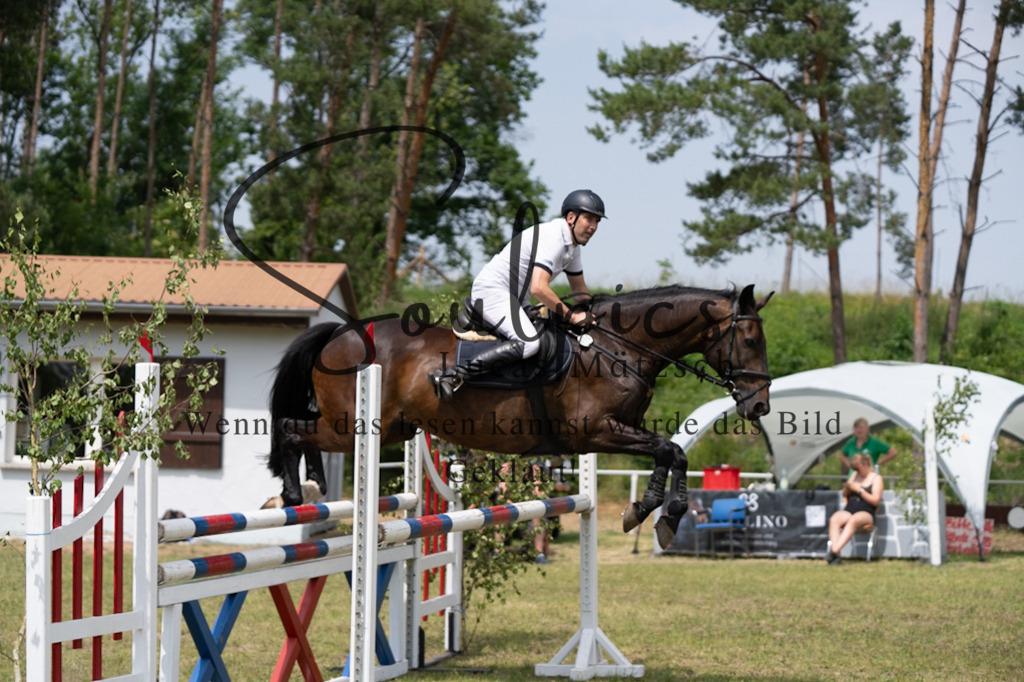 A7V07246 | Pferdefotograf