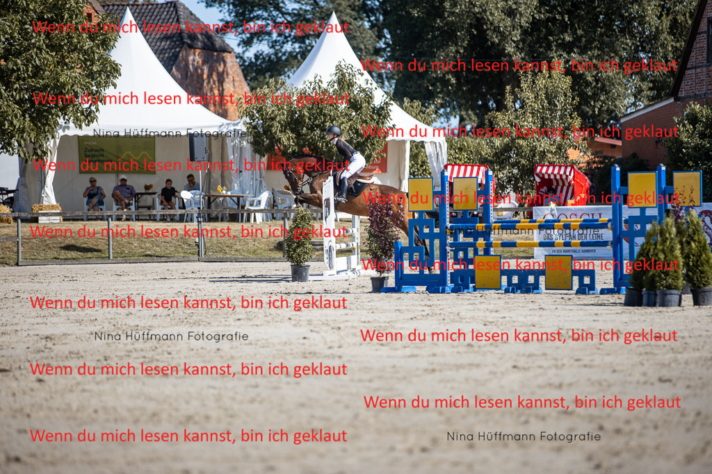 BK1A7140 | Turnierbilder Turnierfotos Nina Hüffmann Turnierfotografie Pferdefotografie Tierzeichnung Haustierzeichnung Pferdezeichnung Hundezeichnung Videograf  - Realisiert mit Pictrs.com