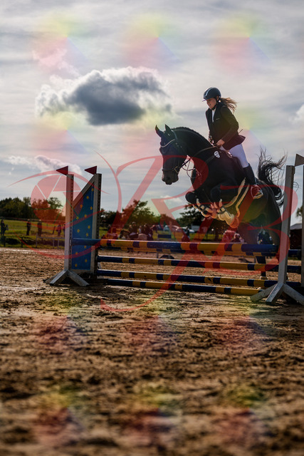 2026_10_03_Siefer-Hof_154316_Z63_09132279 | Professionelle Reitsport-, Turnier- und Eventfotografie von Robert Broda. Galerien mit ausgewählten und bearbeiteten Bildern direkt online ansehen und bestellen.
