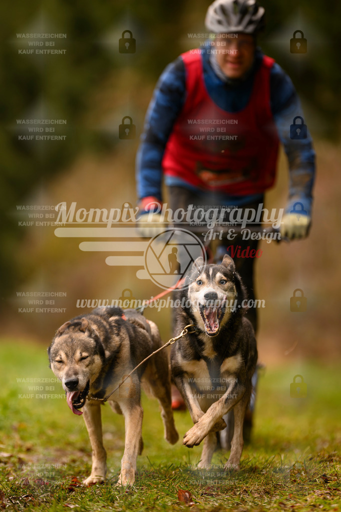 MompixPhotography_2SSTSSBW_2025_SO_Scooter-97 | PayLife