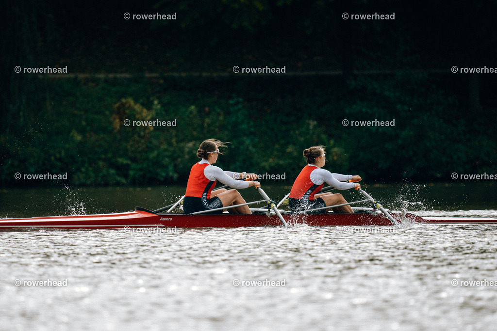 20241012_rowerhead_R01F_S0076_DSC00574 | rowerhead - Realisiert mit Pictrs.com