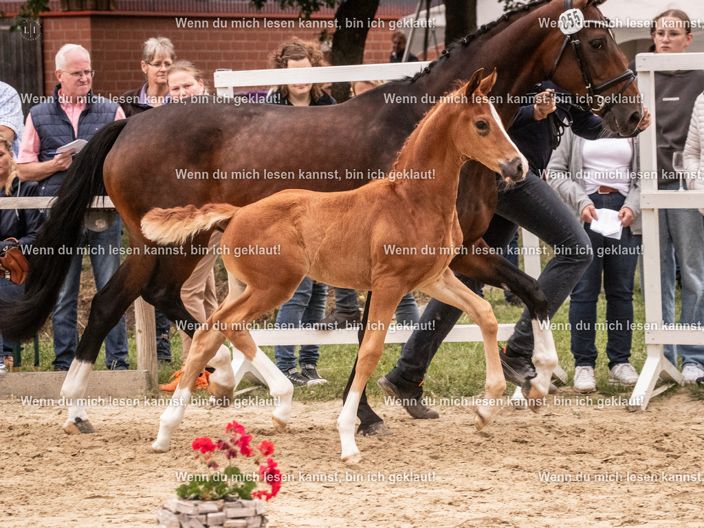 A10I5529 | photographylinaismer - Realisiert mit Pictrs.com