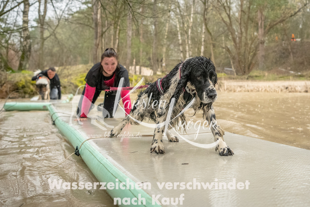 1056_ZZ93770-Bearbeitet | kk-dogfotos