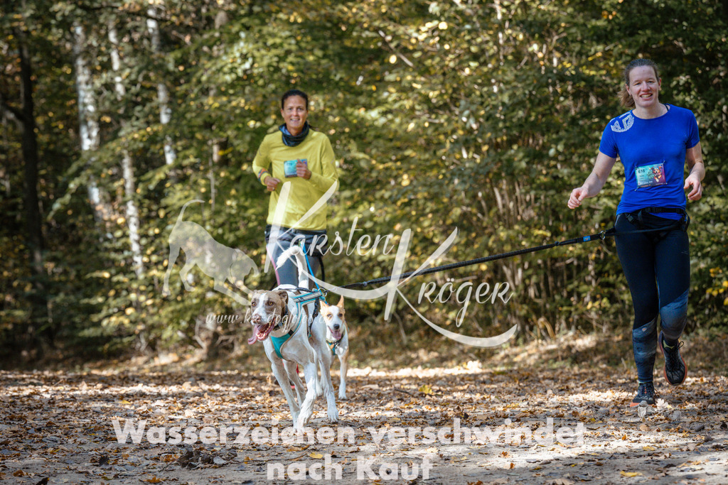 1319_ZZ97869 | kk-dogfotos