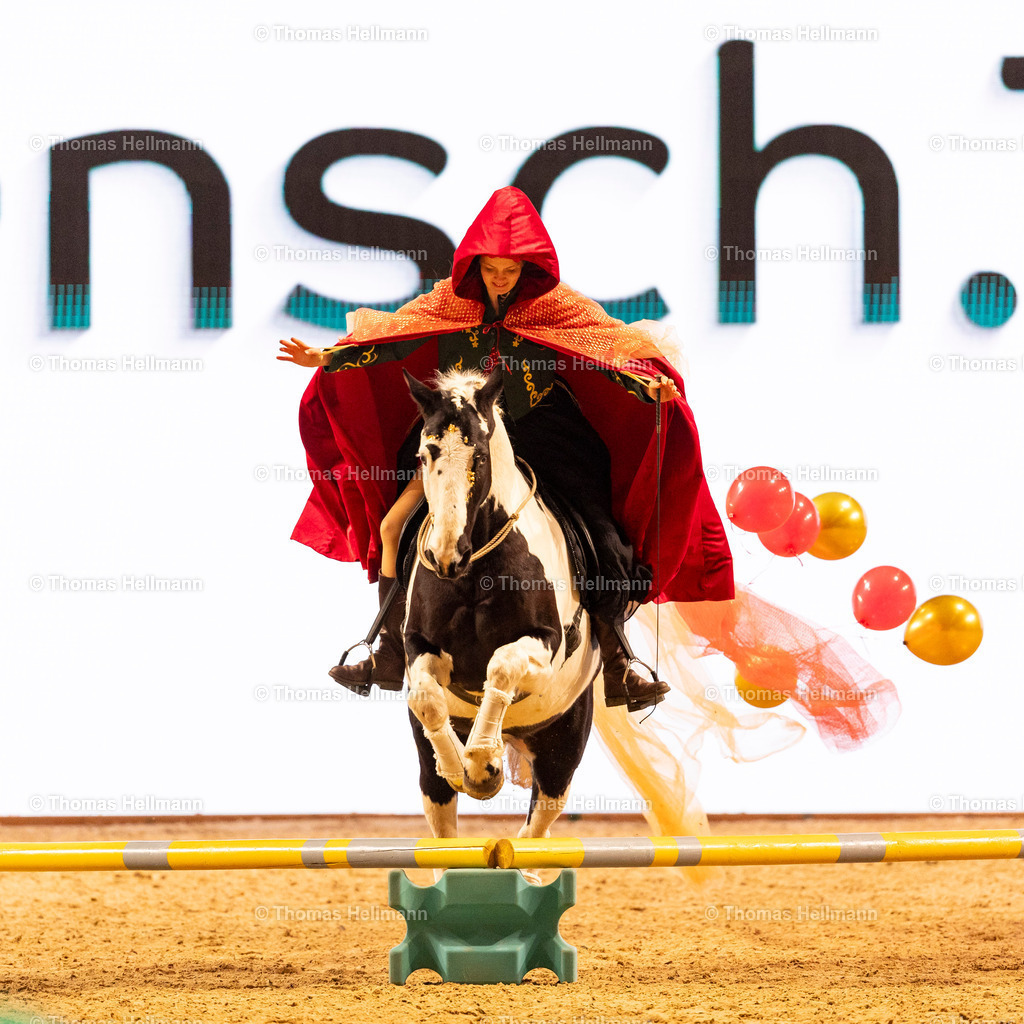 TH_Show Cup_26850 | EQUITANA 2025 am 08.03.25 in Essen