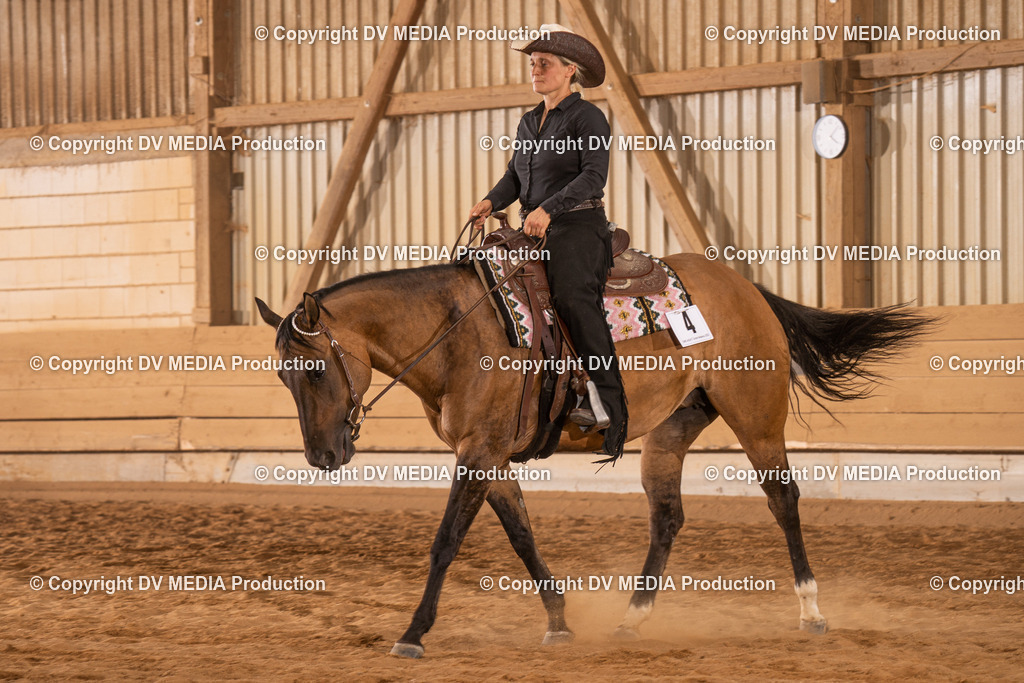 NID00791 | dv-media-shop - Realisiert mit Pictrs.com