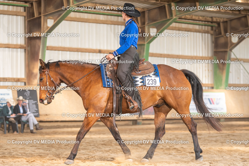 Balingen Tag 1-1761 | dv-media-shop - Realisiert mit Pictrs.com