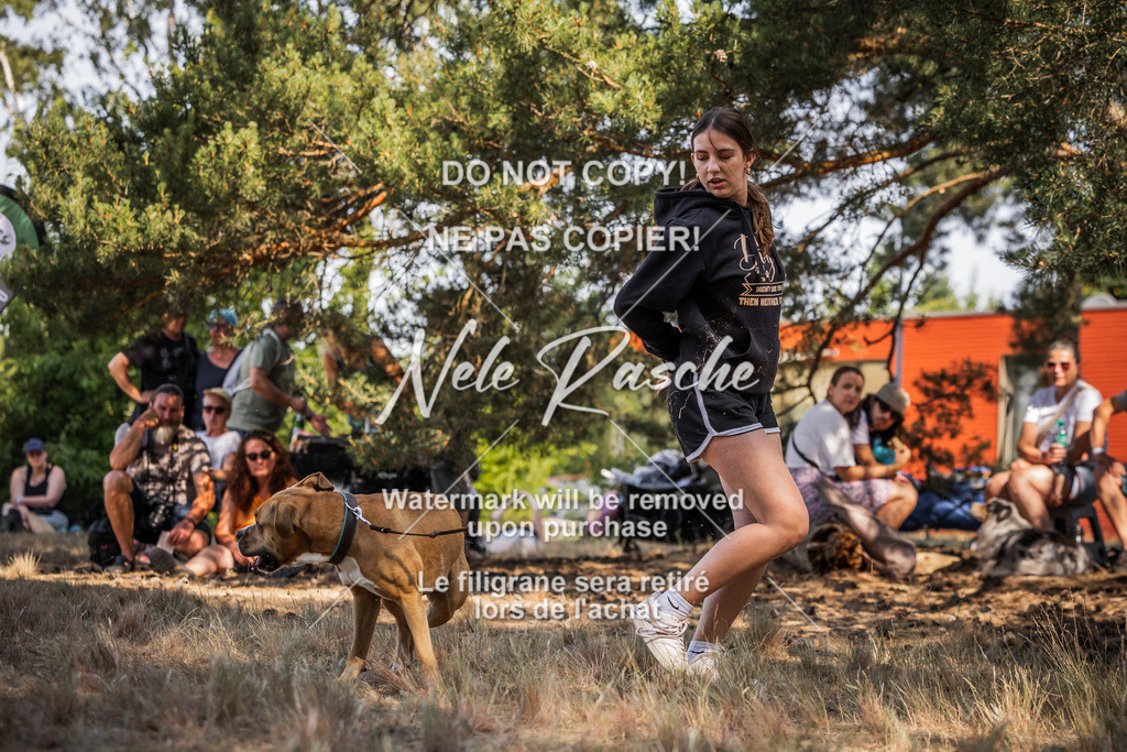 nelerasche_soDD1_350 | nelerasche