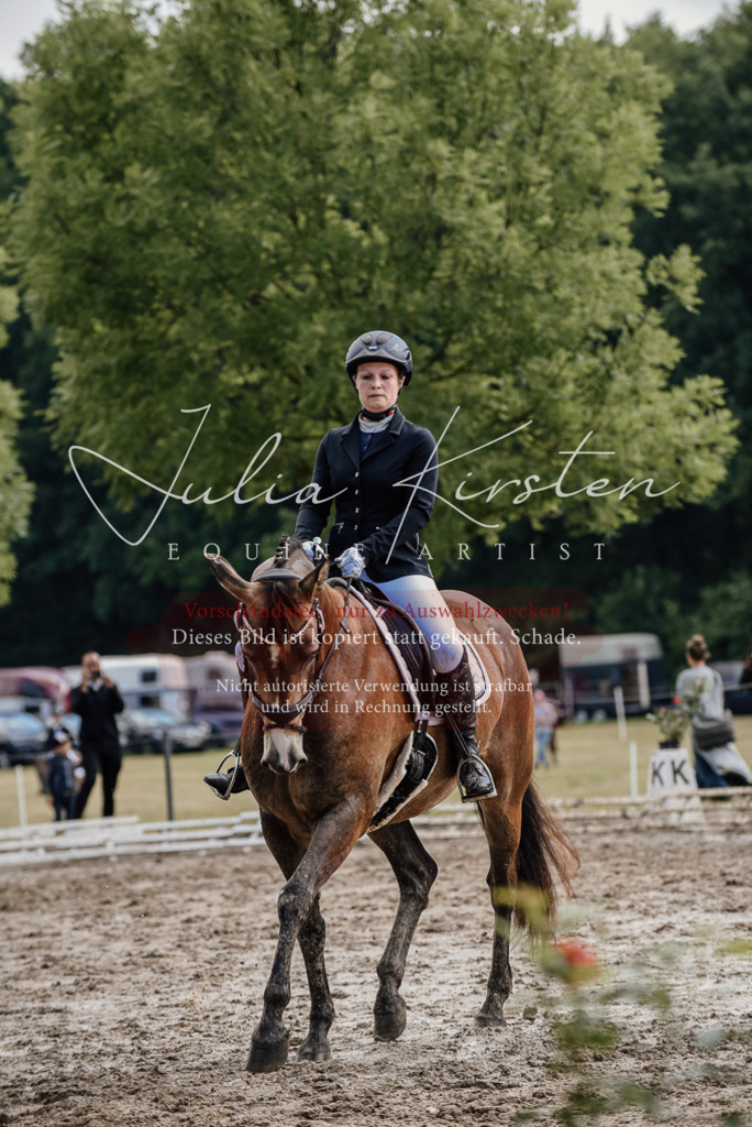 DSC_9259 | Pferde- und Turnierfotografie in Westsachsen. Pferdeportraits, Auftragszeichnungen und intuitive Kunst.