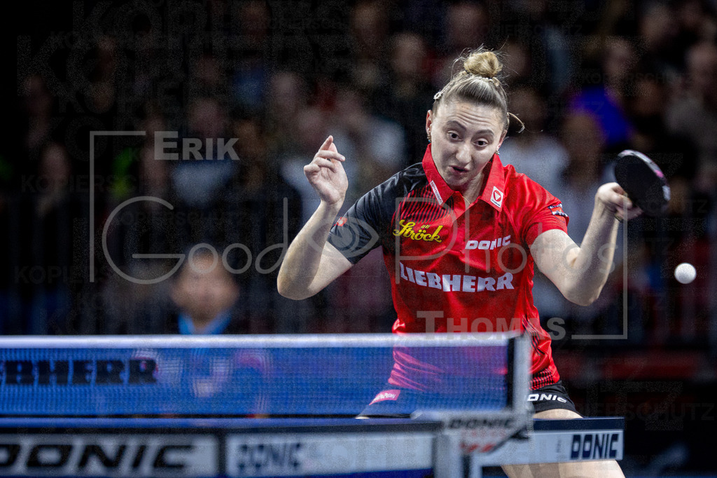 European_Championships_2024-10-19_185 | good-photos - Realized with Pictrs.com
