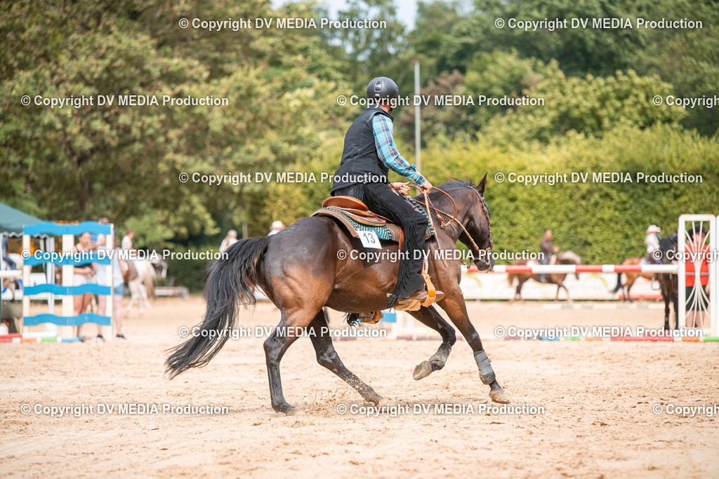 ZS2_8523 | dv-media-shop - Realisiert mit Pictrs.com