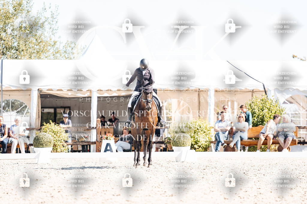 CK909702 | Turnierfotografie Pferdefotografie Trier Rheinland-Pfalz Pferdesport Reitsport Tierfotografie Sportfotografie Pferdevideo Pferdevideografie Equestrianvideography equestrianphotography  - Realisiert mit Pictrs.com