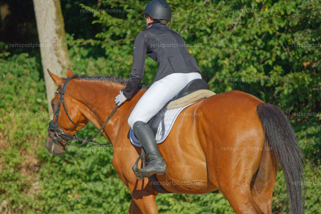 JHE_0370 | JoYa Fotografie - Realisiert mit Pictrs.com