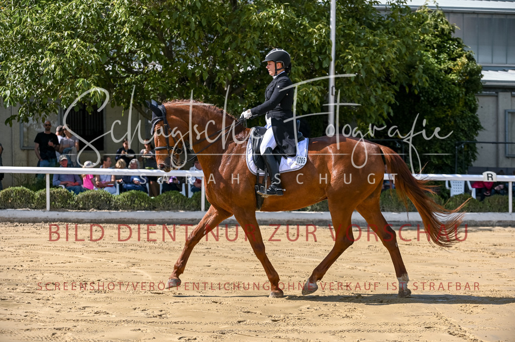 Schugtsche-Aluta25-58. Dressurprf.S1Kand.St.GeorgSpecial-214 | Schugtsche Fotografie - Realizzato con Pictrs.com