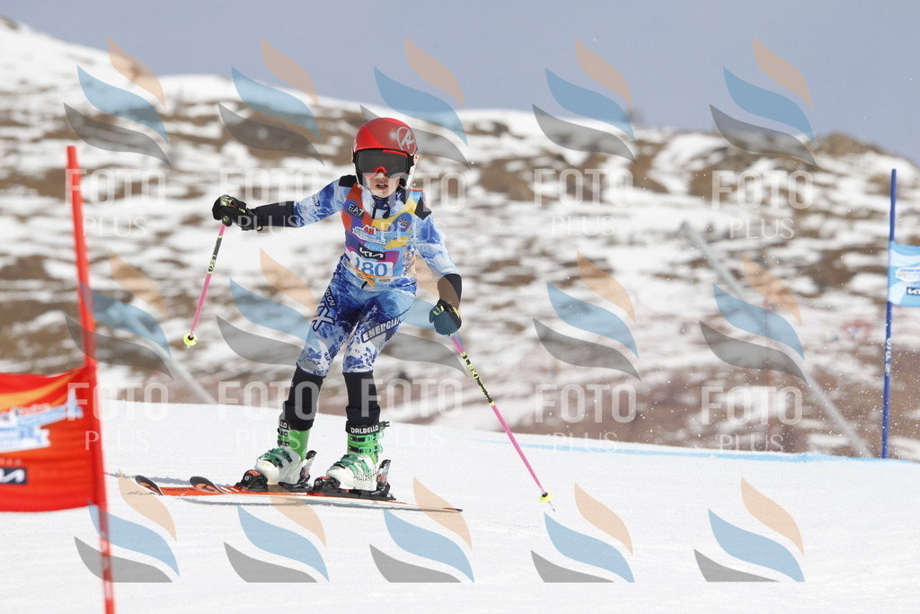 _U3G1724 | holidayphoto