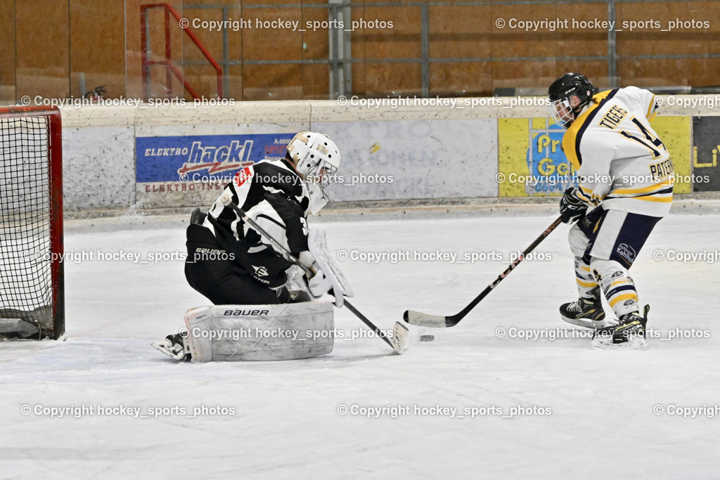 EC Tigers Paternion vs. Tarco Wölfe II | Penalty, #34 Schleinzer Manuel Tarco Wölfe II, #14 Tschurnig Daniel EC Tigers Paternion, EC Tigers Paternion vs. Tarco Wölfe II, EC Tigers Paternion vs. Tarco Wölfe II am 19.12.2024 in Spittal an der Drau (Eissportzentrum Spittal), Austria, (Photo by Bernd Stefan)