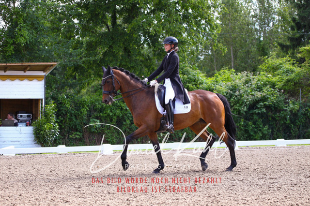DKP41382 | Turnierfotos kaufen im Webshop von Daniel Kuhl Photography – entdecke professionelle Reitsportfotos aus Turnieren & Events. Hochwertige Turnierbilder online bestellen & sichern. Jetzt Fotos von Reitsportturnieren kaufen!