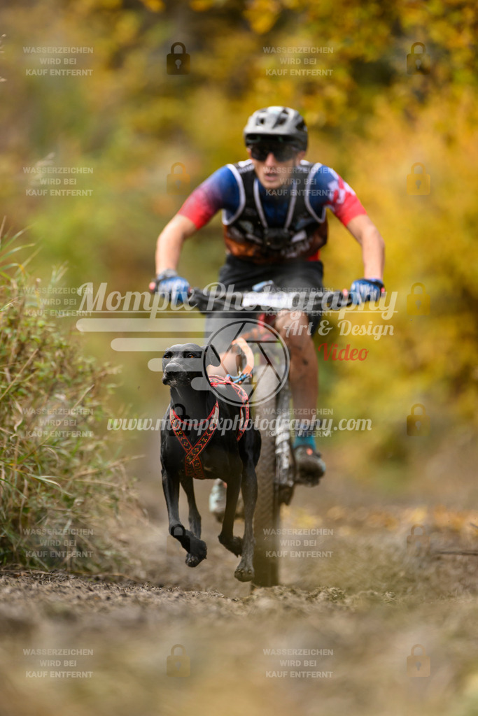 MompixPhotography_ICF_WC_2024_SA_Bike_-375 | PayLife
