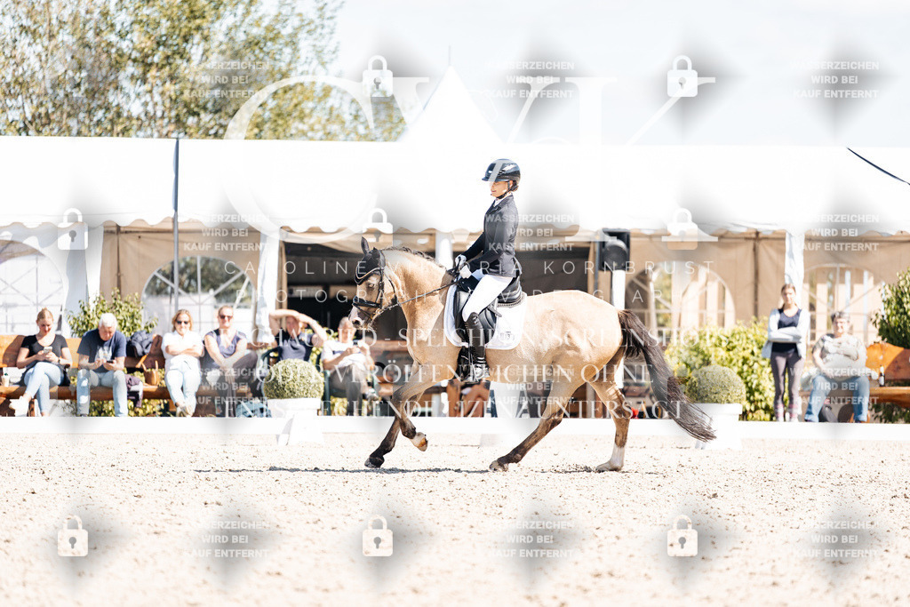 CK903840 | Turnierfotografie Pferdefotografie Trier Rheinland-Pfalz Pferdesport Reitsport Tierfotografie Sportfotografie Pferdevideo Pferdevideografie Equestrianvideography equestrianphotography  - Realisiert mit Pictrs.com