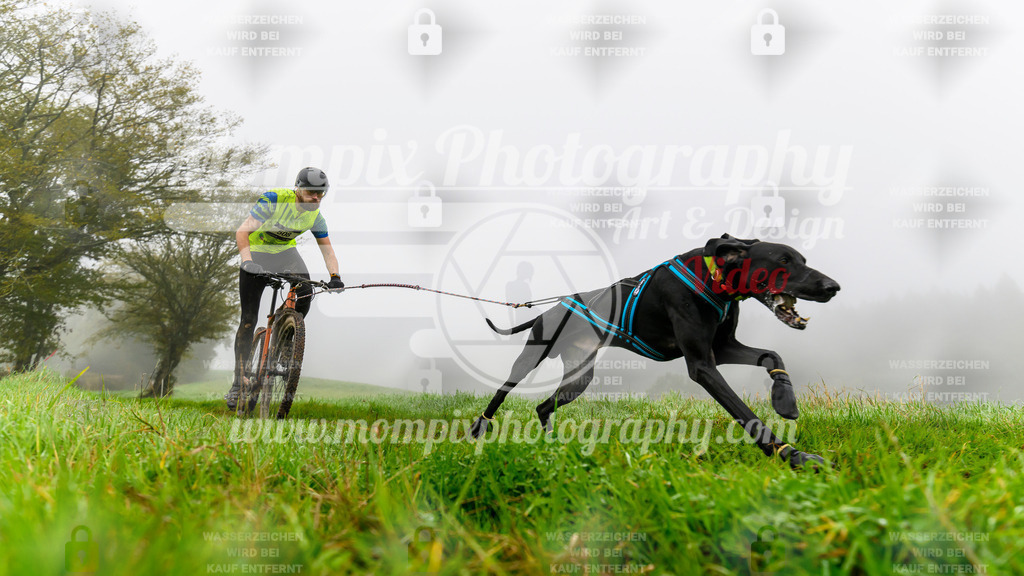 MompixPhotography_20TSB_E5_Bike-43 | PayLife
