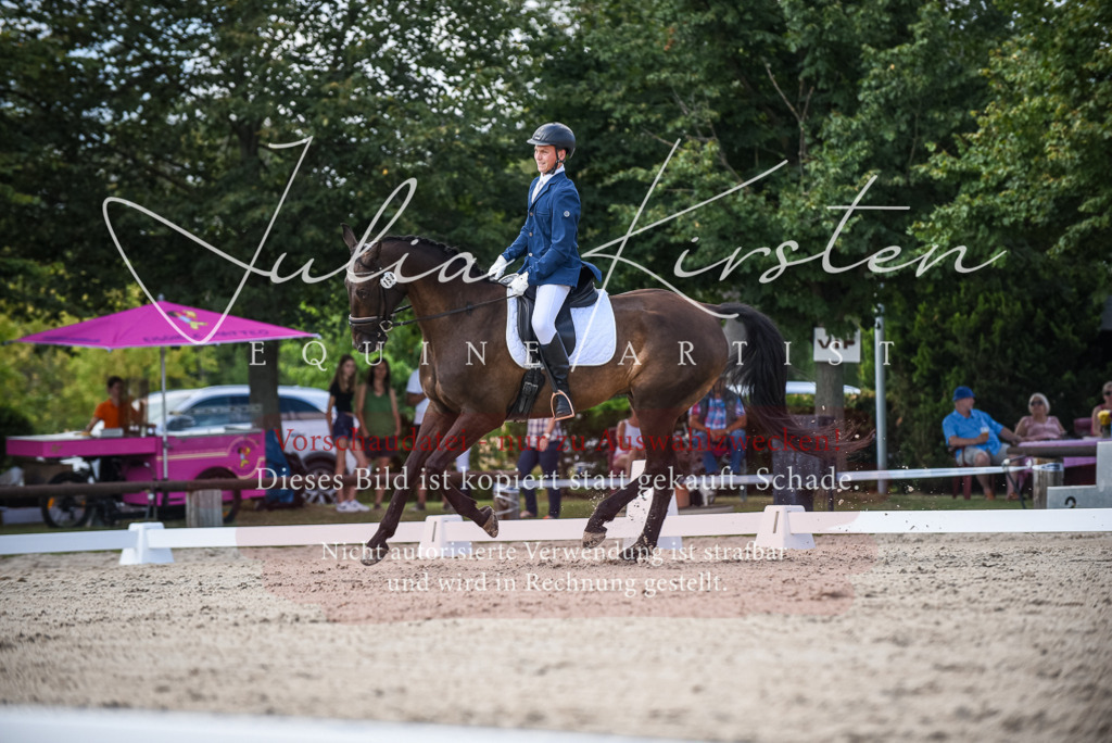 DSC_9204 | Pferde- und Turnierfotografie in Westsachsen. Pferdeportraits, Auftragszeichnungen und intuitive Kunst.