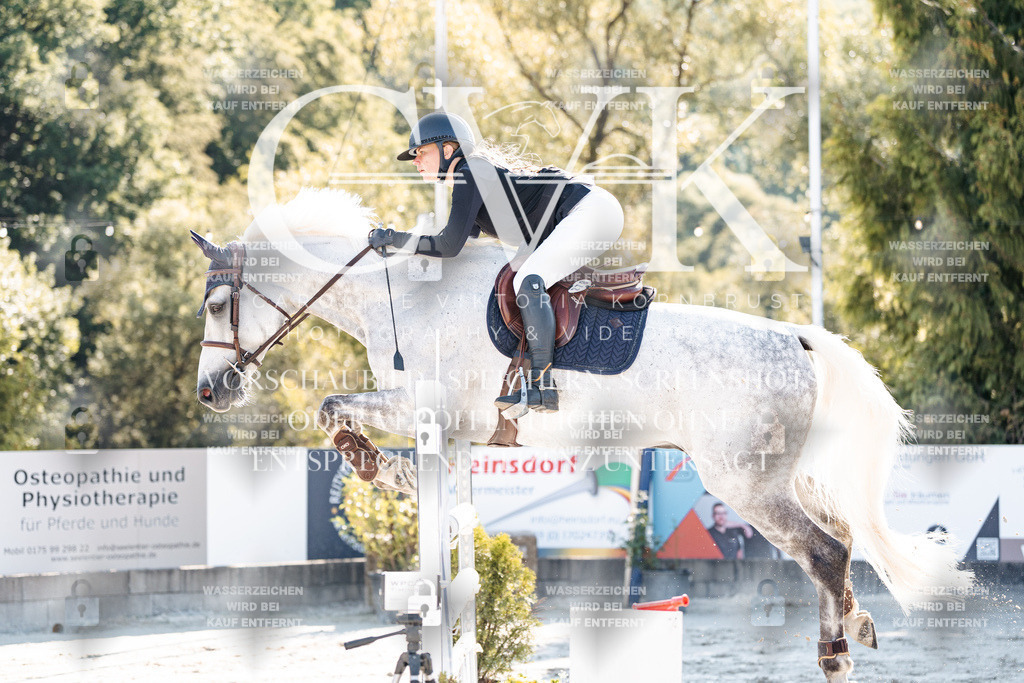 CK904455 | Turnierfotografie Pferdefotografie Trier Rheinland-Pfalz Pferdesport Reitsport Tierfotografie Sportfotografie Pferdevideo Pferdevideografie Equestrianvideography equestrianphotography  - Realisiert mit Pictrs.com