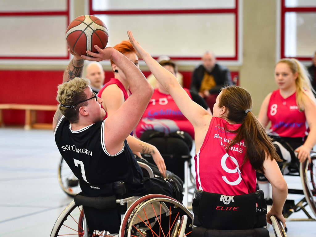 2026-02-22-Ralph_Kunze-0466 | Ralph Kunze - Realisiert mit Pictrs.com