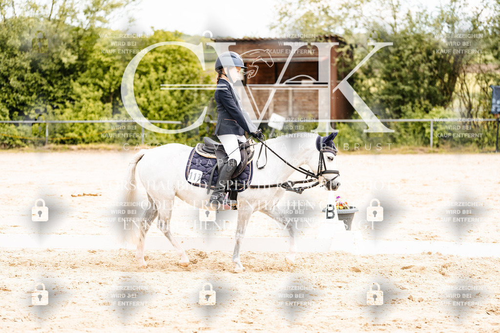 CK904481 | Turnierfotografie Pferdefotografie Trier Rheinland-Pfalz Pferdesport Reitsport Tierfotografie Sportfotografie Pferdevideo Pferdevideografie Equestrianvideography equestrianphotography  - Realisiert mit Pictrs.com
