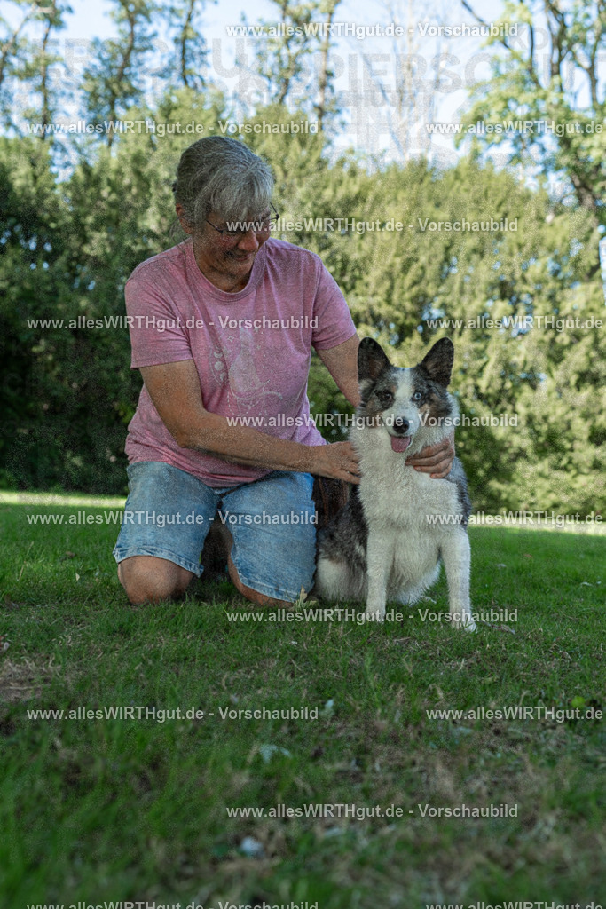 Hundeschwimmen_Volksbad_2026-allesWIRTHgut_Tierfotografie-2609061326-7R500797 | Professionelle Tierfotografie in Mönchengladbach von Daniel Wirth (allesWIRTHgut). Liebevolle & natürliche Bilder von Hunden & Katzen für unvergessliche Erinnerungen.
