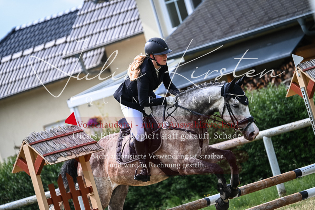 DSC_8378 | Pferde- und Turnierfotografie in Westsachsen. Pferdeportraits, Auftragszeichnungen und intuitive Kunst.